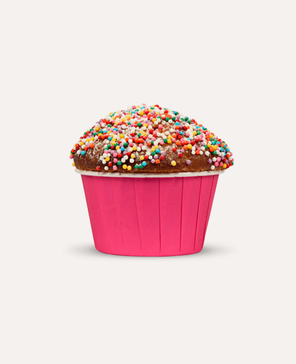 Chocolate muffin with strawberry